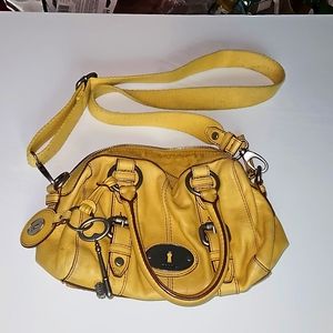 Yellow fossil purse